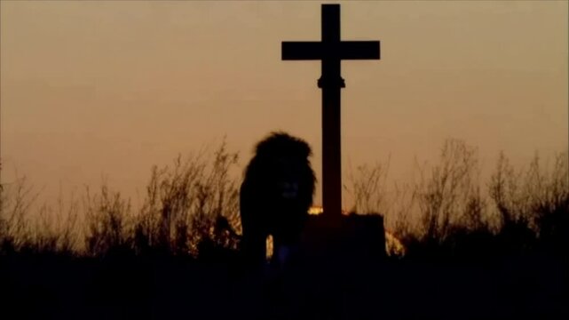 le&atilde;o caminhando em dire&ccedil;&atilde;o a cruz de cristo 