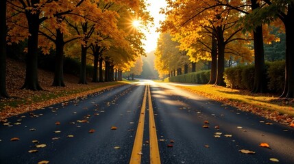 Obraz premium Autumnal Roadway Sunlit Path Through Golden Canopy of Trees with Fallen Leaves