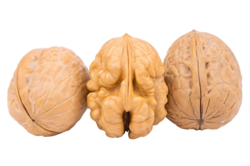 A whole walnut and a cracked walnut isolated on white background PNG.AI GENERATED