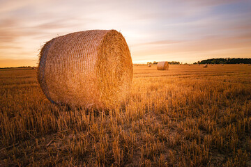 bales of straw at sunset on a field in South Bohemia near the town of Tábor. The sky with clouds...