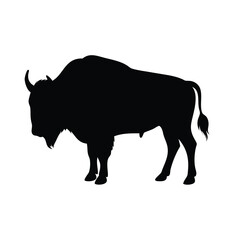 A bison bull vector silhouette