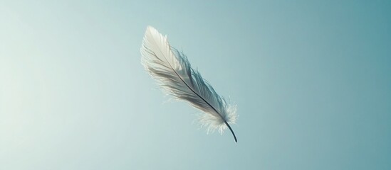 Fototapeta premium Single white feather floating in light blue sky.