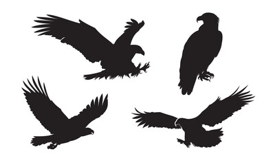 Eagle silhouette vector illustration. Flying eagle cartoon element. Suitable for bird drawing element.