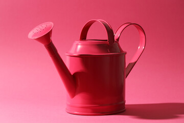 Metal watering can on bright pink background
