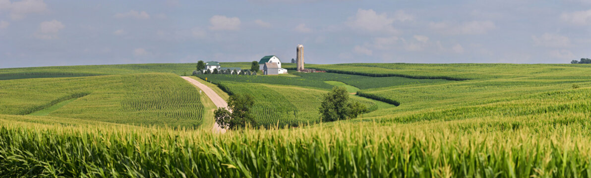 Homestead panorama in the vast corn fields of Southern Wisconsin