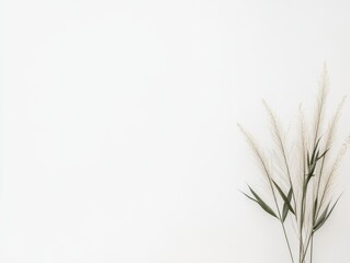 Fototapeta premium Dried Grass and Green Leaves Against White Background