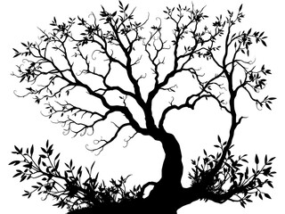 Fototapeta premium Silhouette of tree on a transparent background illustration.