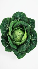 Obraz premium Fresh Green Cabbage on White Background