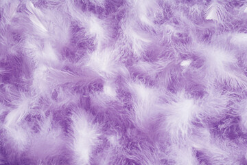 Fototapeta premium A close-up of soft, fluffy feathers in shades of lavender and white