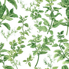 Botanical illustration featuring various green plant leaves on a white background.