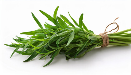 Fototapeta premium tarragon bunch isolated on white background