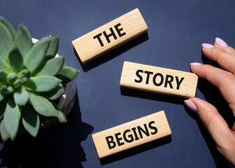 The Store Begins symbol. Concept words The Store Begins on wooden blocks with succulent plant....