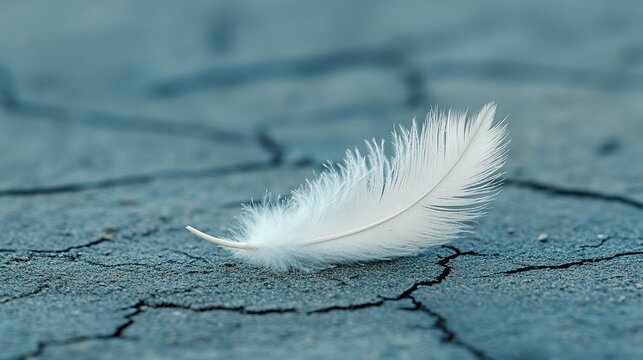 A single bird feather rests delicately on cracked stone, representing fragility amidst strength with blurred empty space on the side evoking a sense of chaos and contrast

