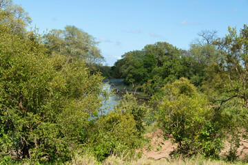 Parc national Kruger, Afrique du Sud