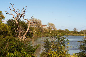Parc national Kruger, Afrique du Sud