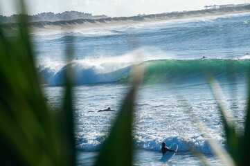 Surfer paddelt zu den Wellen. Welle Bricht sauber