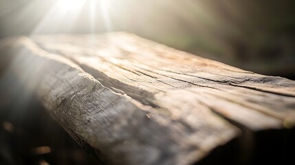 Fototapeta premium Sunlit Rustic Wooden Plank: A Serene Nature Study