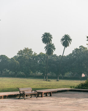 View of the serene garden with palm trees and a bench at the Tomb of Akbar, Agra, India.