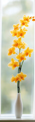 Elegante gelbe Blumen in schwarzem Vase vor lichtdurchflutetem Fenster

