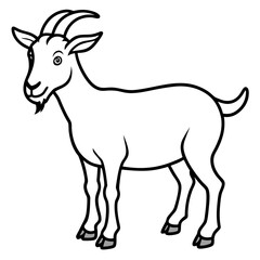 Goat on white background