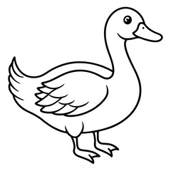 Duck on white background
