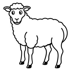 Sheep on white background