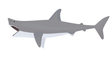 Big shark with open mouth. vector