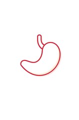 Simple red line drawing of a stomach.