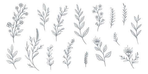 Elegant Hand-Drawn Floral Illustrations Featuring Various Botanical Elements