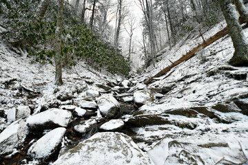 Winter snow falls in the Gatlinburg Mountains of Tennessee