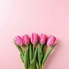 Pink Tulips on Pink Background, Floral Spring, Flat Lay