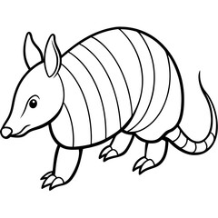 Armadillo on white background
