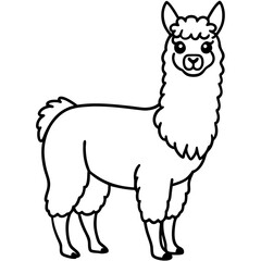 Alpaca on white background