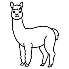 Alpaca on white background
