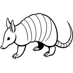 Armadillo on white background