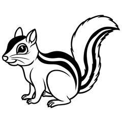 Chipmunk on white background