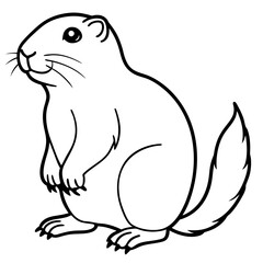 Prairie Dog on white background