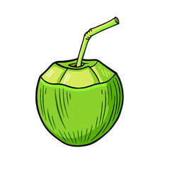 Obraz premium Vector Cartoon Illustration Coconut Cocktail with Drinking Straw (5)