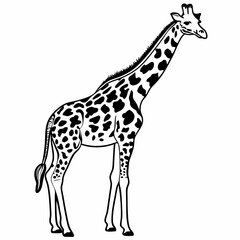 Obraz premium giraffe illustration