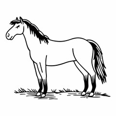 horse illustration