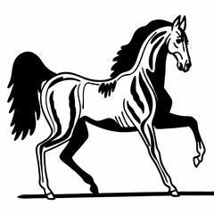 horse vector