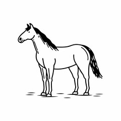 horse illustration
