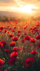 Obraz premium A mesmerizing view of radiant red flowers.