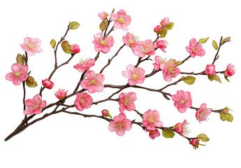 pink cherry blossom