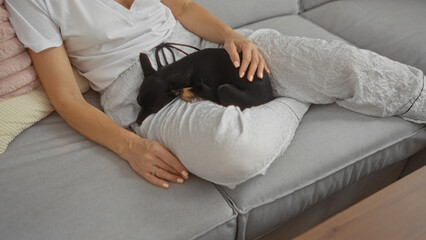 Fototapeta premium Woman relaxing on a living room couch with a chihuahua dog sleeping on her lap, showcasing a cozy and intimate indoor home setting