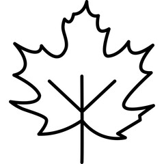 Fototapeta premium Maple Leaf Icon