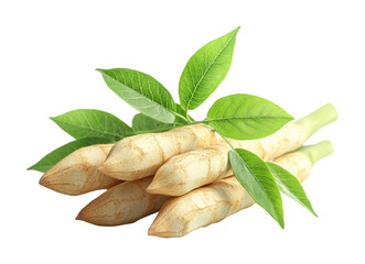 Cassava roots on fresh produce high fidelity generative natural environment close-up view for seo impact isolated on transparent background png