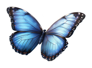 Vibrant blue butterfly icon on graphic design nature clean environment close-up view aesthetic concept isolated on transparent background png