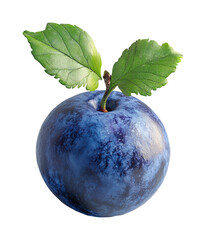 Obraz premium Close-up of fresh blueberry on food studio environment high fidelity texture isolated on transparent background png