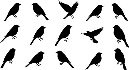 Vector Set of Birds silhouettes collection